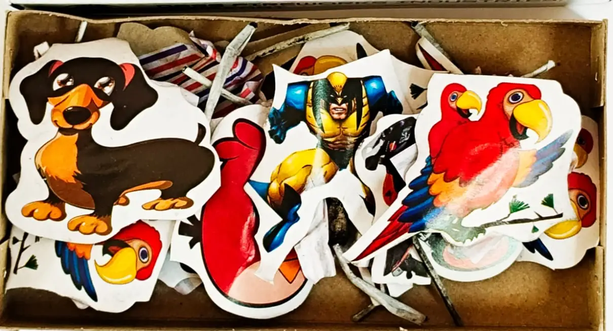 Assorted Cartoons (10 Pcs)